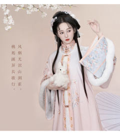 桃花扇-资料图