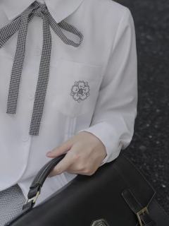 桜泽高-资料图
