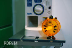 乖乖虎仔-资料图