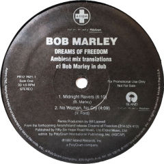 Dreams Of Freedom (Ambient Mix Translations Of Bob Marley In Dub)