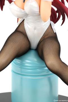 向坂环 Bunny ver.-资料图