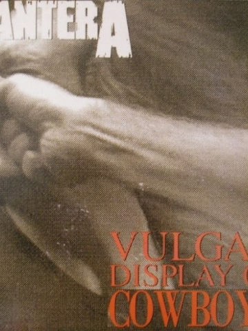 Vulgar Display Of Cowboys
