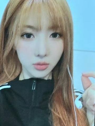 ms上海6.0 狗 运动服ver.