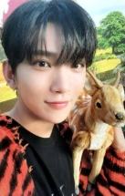 2022 D社卡册 verA.