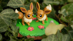 An Afternoon with Eevee & Friends 伊布 -资料图