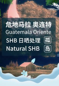 孤岛危地马拉奥连特 SHB 日晒处理 