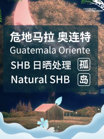 孤岛危地马拉奥连特 SHB 日晒处理 