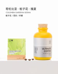 哥伦比亚栀子花瑰夏