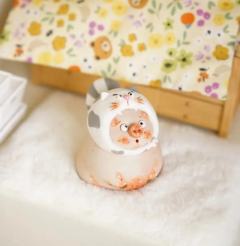 波斯喵肉肉-资料图