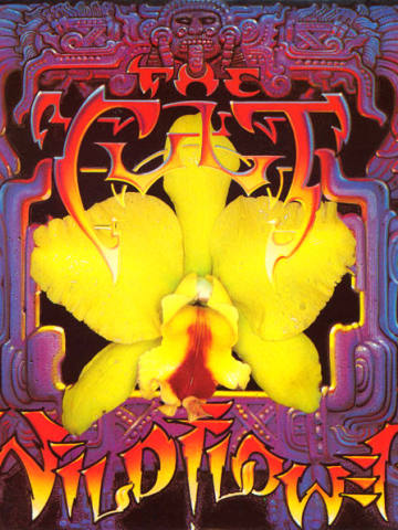 Wild Flower