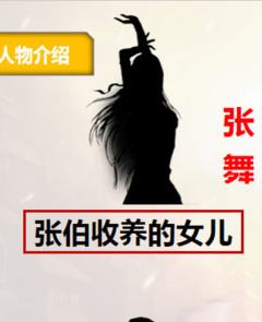 龙城拍卖会-资料图
