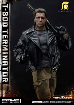 T-800 DX version-资料图