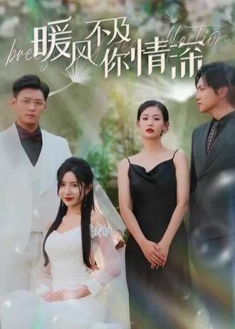 暖风不及你情深