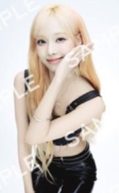 东蛋特别场随机卡 冬 ver.A