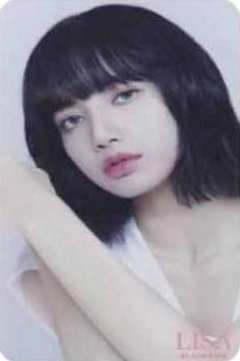环球莎 verD.