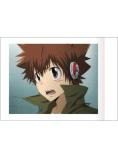 泽田纲吉C-movic拍立得第五弹