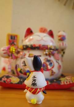 招财肥-资料图