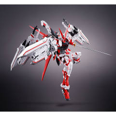MG MBF-P02 异端高达红龙形态-资料图