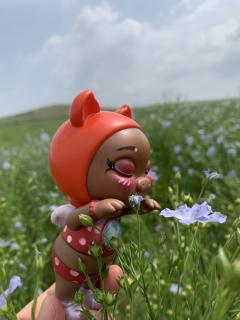 猪小朵儿-吹海风-资料图