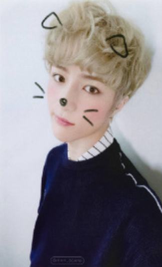 cat&dog ver.B