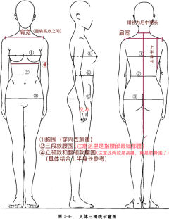 玉台金盏-资料图