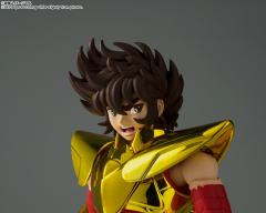 圣斗士圣衣神话EX 天马座星矢（最终青铜圣衣）~金色限定版~-资料图