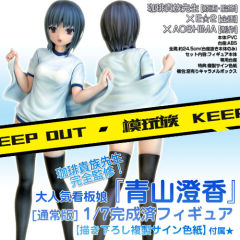青山澄香 常规版-资料图