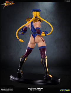 Mixed Media 嘉米·怀特 Shadaloo Cammy-资料图