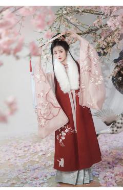 杏花疏影-资料图