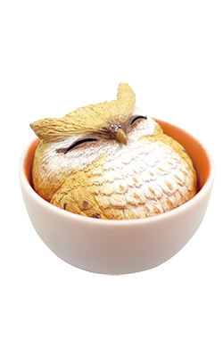 红玉茶鹰