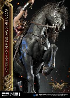 神奇女侠 On Horseback-资料图