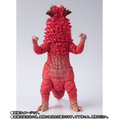 SHF 庞顿-资料图