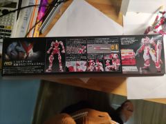 RG MBF-P02 红色异端高达-资料图