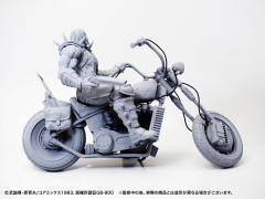 Hokuto Kyuukyoku Zoukei Series 贾基 激斗版-资料图