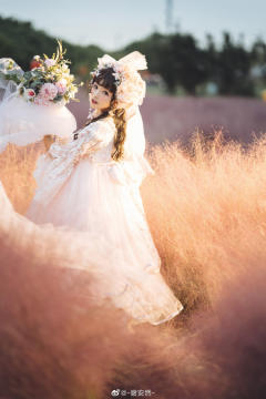 和平之春 Ver Placidum Mille fleur-资料图