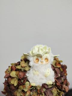 迷你系列-小白菜-资料图