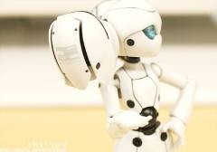 figma#038 Drossel von Flügel -资料图