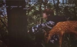 Reloaded一专卡 ver.G