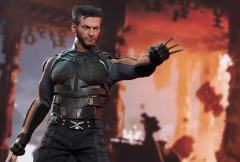 Hottoys MMS264 金刚狼-资料图