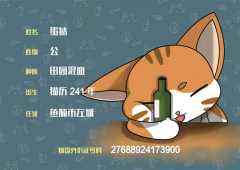 幸福商业街-资料图