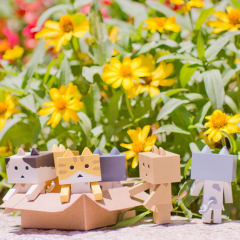 Nyanboard Figure Collection 阿楞 Calico(brown)-资料图