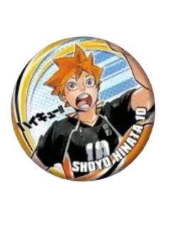 日向翔阳-原画第六弹吧唧