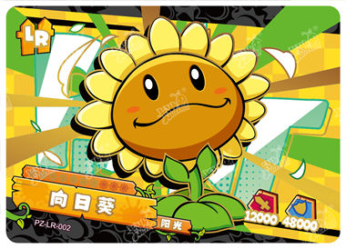 向日葵