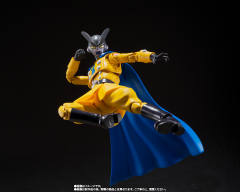 SHF 伽马2号-资料图