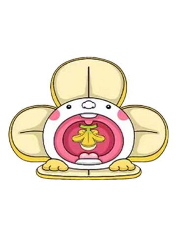 隐藏款-香蕉宝宝