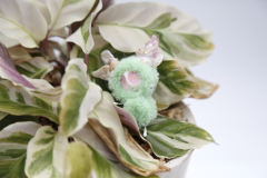 卡塔卡塔-绿色-资料图