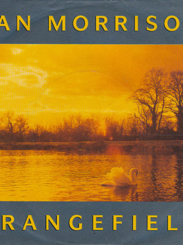 Orangefield