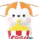 柯基COOGI