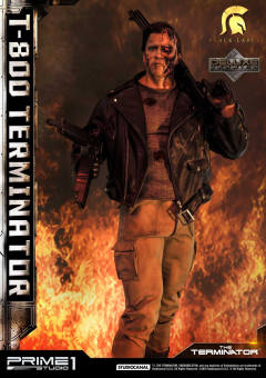 T-800 DX version-资料图