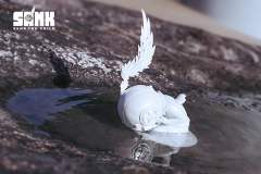 心空-纯粹-资料图